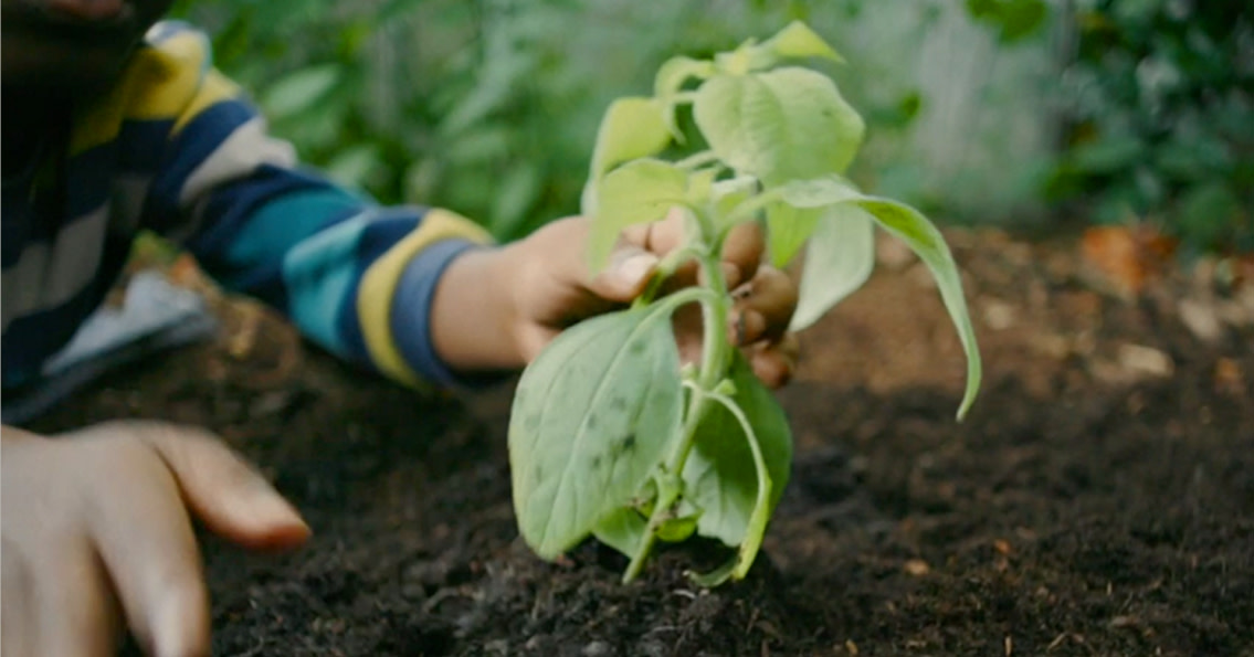 Person, der planter noget i jorden