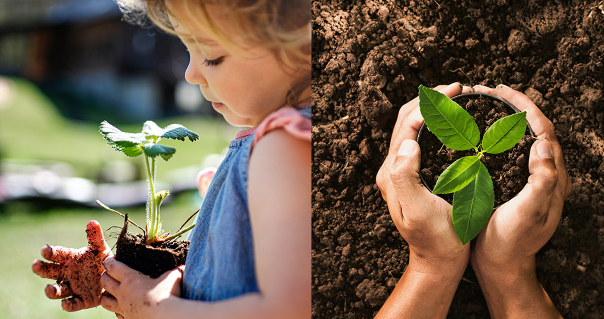 En side om side af en pige, der planter en plante i jorden