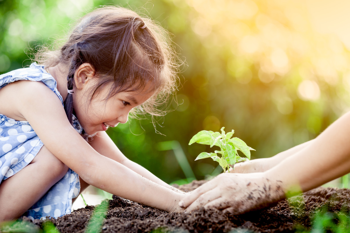 Lille pige, der planter en plante