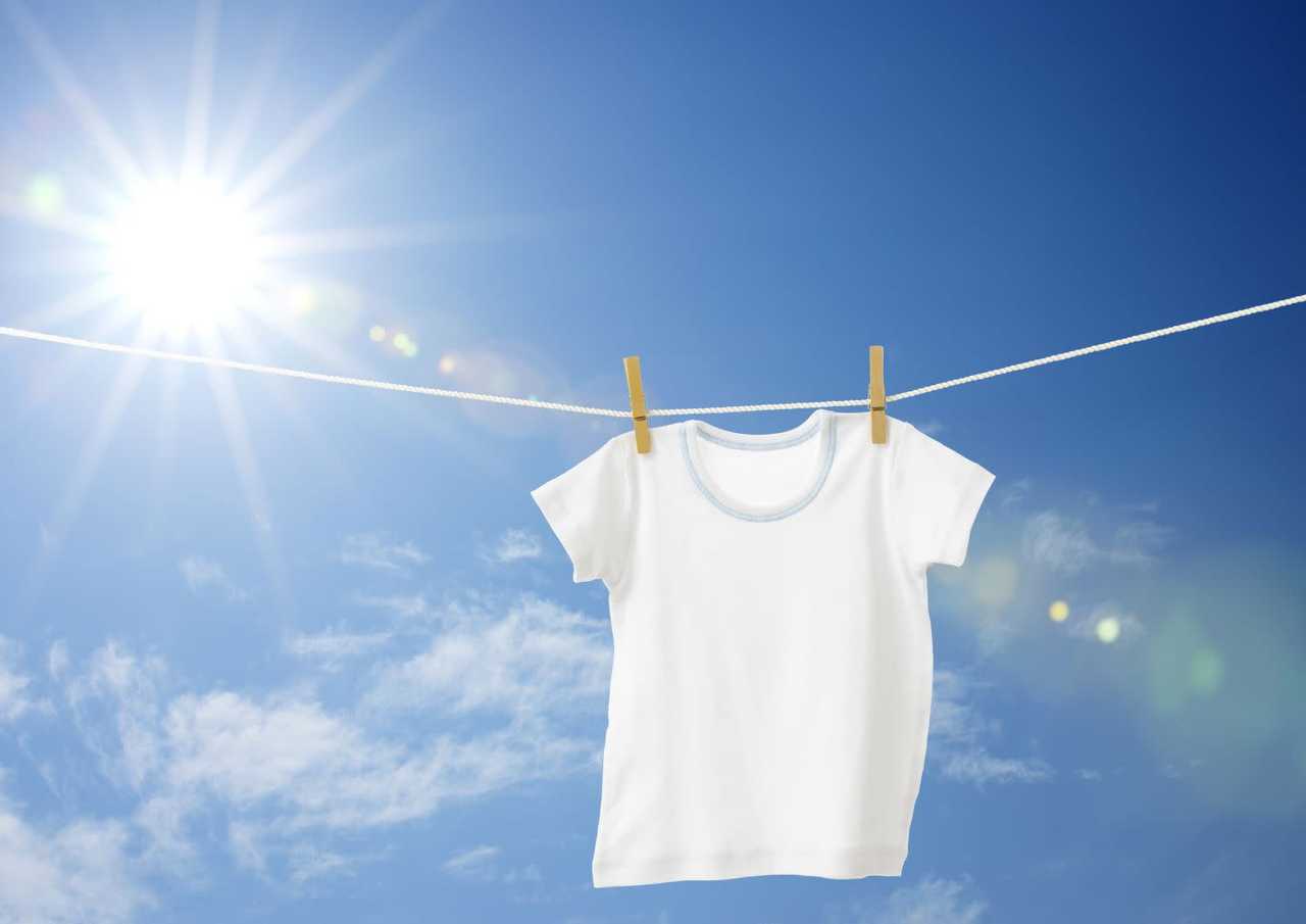 التاجر إختطاف skjorte med pletter - solarireland2020.com
